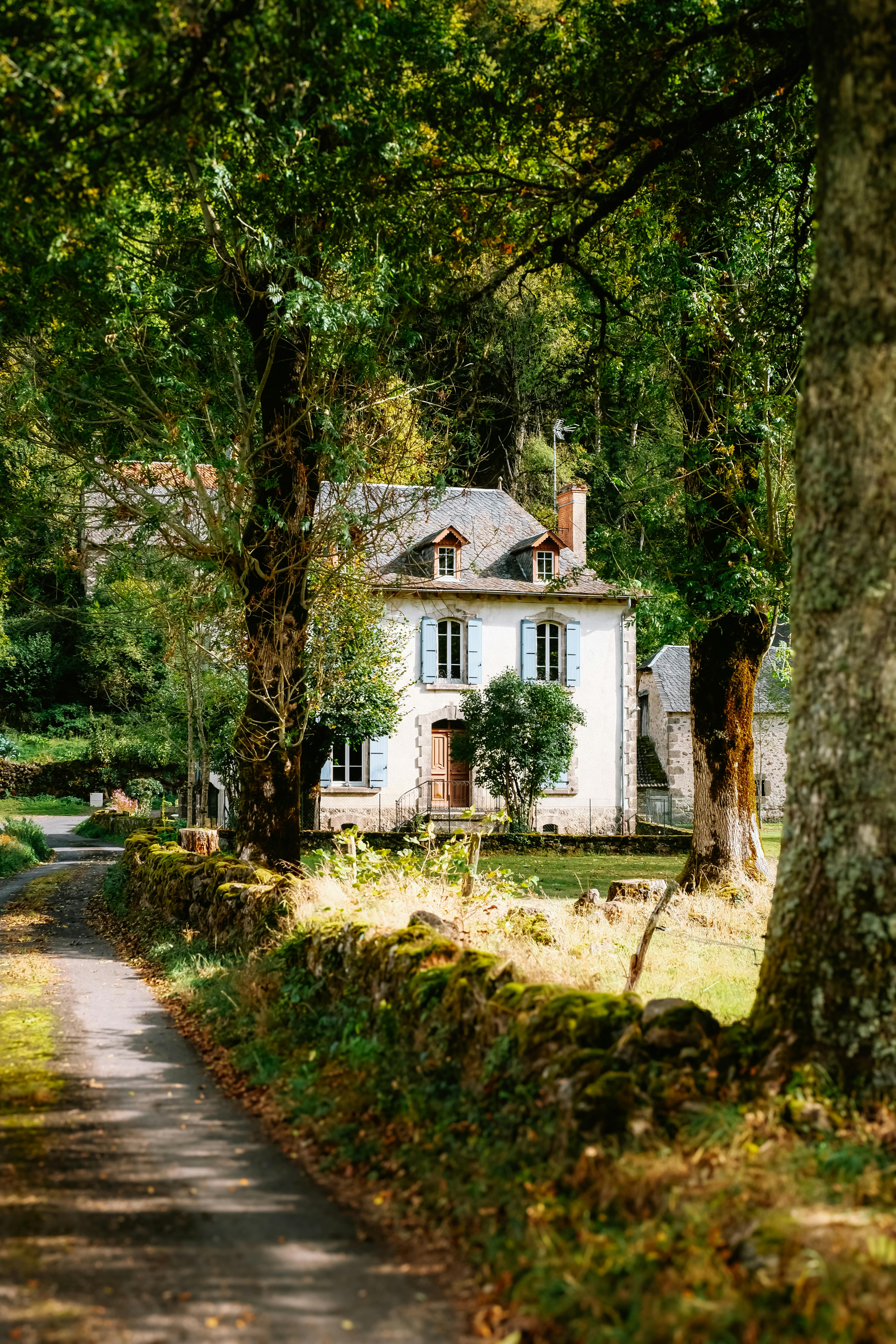 Belle maison moderne - Immotonome